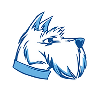 Glasgow High School Basketball